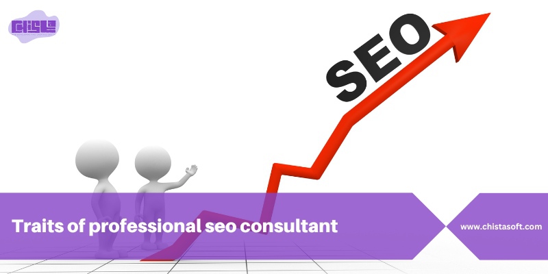 Traits Of A Professional SEO Consultant